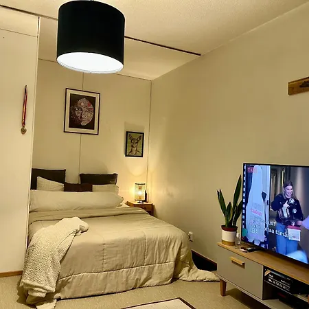 Apartman C's Old-studio, Easy Access To Helsinki-vantaa Airport Vantaa