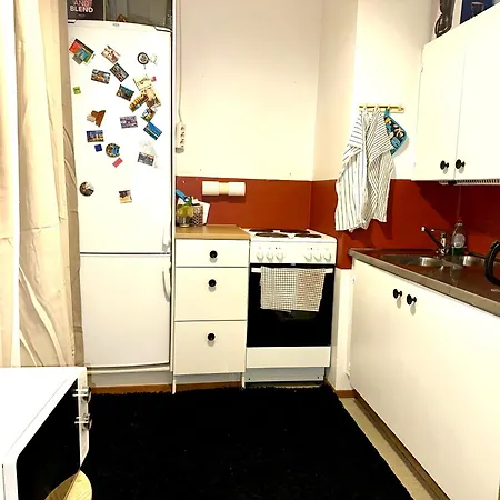 C's Old-studio, Easy Access To Helsinki-vantaa Airport * 万塔