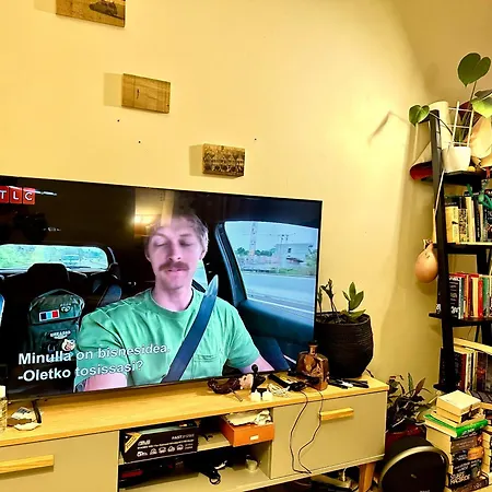 C's Old-studio, Easy Access To Helsinki-vantaa Airport *