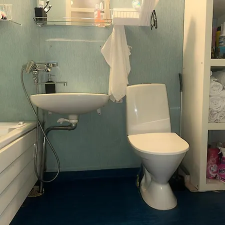 C's Old-studio, Easy Access To Helsinki-vantaa Airport Huoneisto