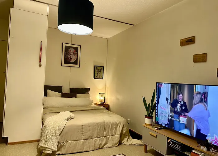 Apartman C's Old-studio, Easy Access To Helsinki-vantaa Airport Vantaa