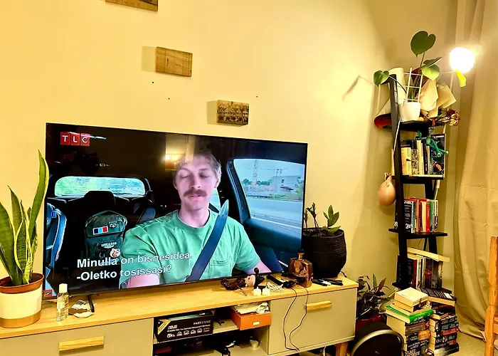 C's Old-studio, Easy Access To Helsinki-vantaa Airport *