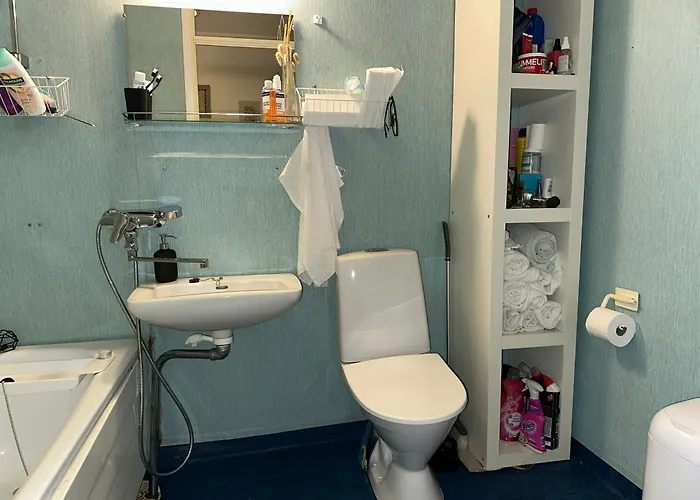 C's Old-studio, Easy Access To Helsinki-vantaa Airport