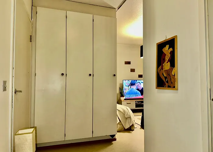 C's Old-studio, Easy Access To Helsinki-vantaa Airport 公寓 万塔