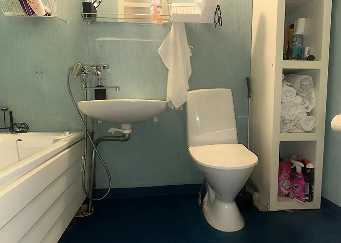 C's Old-studio, Easy Access To Helsinki-vantaa Airport 公寓